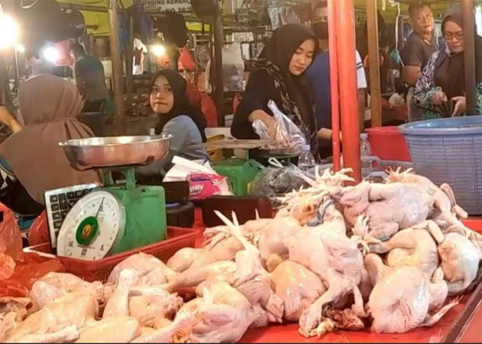 Inflasi Provinsi Jambi Naik Lagi, Kerinci Catat Angka Tertinggi 