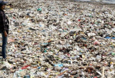 TPA Sampah Sembulun Pantai Diblokir, Dua Hari Armada Sampah Tak Beroperasi 