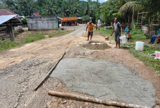 Warga Tanjung Belit Tambal Jalan Secara Swadaya, Kondisi Jalan Rusak Parah Bahayakan Pengguna Jalan 