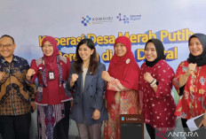  Kemkomdigi Siapkan Pelatihan Digitalisasi Bagi Pengurus Koperasi