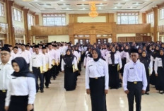  Pemkab Tebo Siapkan Rp 5,1 Miliar, Untuk Gaji PPPK Selama 3 Bulan