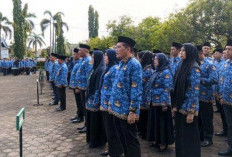 284 Honerer Diusulkan Jadi PPPK Paruh Waktu