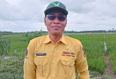 Targetkan Tanam 10 Ribu Hektare Padi, Dukung Swasembada Pangan Nasional