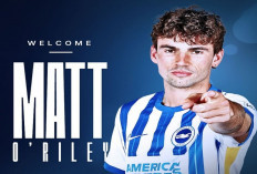 Brighton Rekrut Bintang Denmark Matt O'Riley dengan Kontrak Lima Tahun