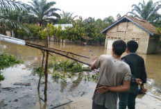 Sedih, 233 Kepala Keluarga di Tebo Terdampak Banjir
