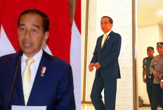 Alasan Jokowi Pakai Dasi Kuning Saat Pergi ke Jepang