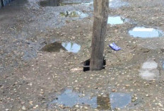 Jalan Permanen di Tanjung Solok Rusak Parah, Warga Khawatir Keselamatan