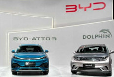 BYD dan Denza Catat Penjualan Total 19.800 Unit Kendaraan Listrik di Semester Pertama 2025