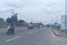 Jalan Lintas Tengah Tebo Mulai Padat Dilewati Oleh Kendaraan Pemudik