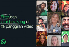 WhatsApp Hadirkan Fitur Baru: Filter dan Latar Belakang untuk Panggilan Video Lebih Seru