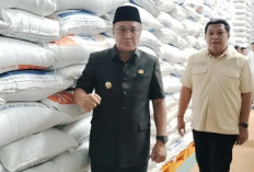 Khawatir Harga Cabai Melonjak, Wako Alfin Pantau Stok Sembako