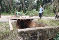 Jembatan Akses Pauh–Air Hitam Rusak Berat Sepriadi Minta Dinas Terkait Segera Tangani