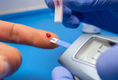 3 Menu Sarapan Terbaik Penderita Diabetes