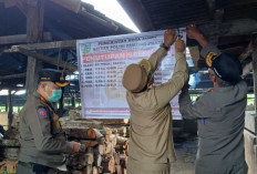 Tutup Peternakan Babi Ilegal di Sijenjang, Walikota Beri Waktu  Sebulan untuk Pindah