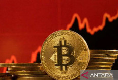 Tokocrypto Respons Positif