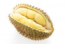 10 Manfaat Durian bagi Kesehatan yang Jarang Diketahui