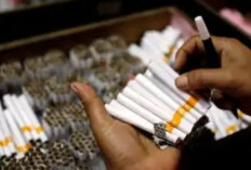 Harga Rokok Siap Siap Naik, Cukai Naik hingga 5 Persen