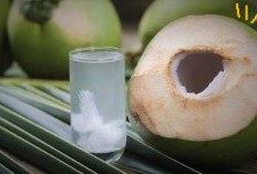 Catat! Ini Bahan Alami yang Bisa Membantu Meredakan Gejala Keracunan Makanan