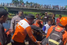 Korban Tenggelam di Geragai Ditemukan Meninggal, TKP Korban Tenggelam Dihuni Buaya Liar 