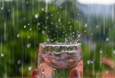 Apakah Air Hujan Boleh Untuk Diminum? Begini Penjelasannnya
