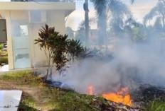 Terpantau Belasan Titik Hotspot Akibat Curah Hujan di Kabupaten Tebo Minim  