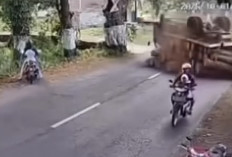 Viral Truk Terguling Akibat Hindari Anak Kecil di Tengah Jalan, Warganet Perdebatkan Siapa yang Bersalah