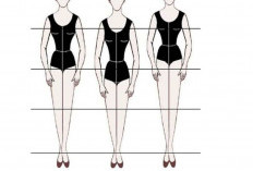 Mengenal Long Torso, Ideal, dan Short Torso