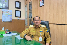  Dapur SPPG Penyebab Harga Ayam Mahal