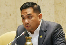 Kasus Jet Pribadi Jadi Pelajaran bagi KPU