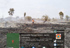 Api Meluas Hingga 200 Hektar, Hari Ketiga Pemadaman Karhutla di Lahan Gambut Sungai Gelam