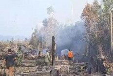 Siaga Karhutla Tebo hingga Akhir September 
