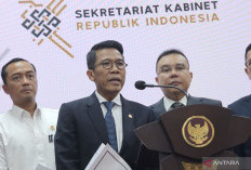 Presiden Siapkan Kajian PPN Tidak hanya Satu Tarif