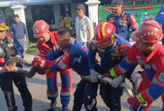 Butuh 6 Petugas untuk Evakuasi, Sanca Liar Teror Warga Kota Baru