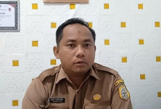 Kasus DBD Meningkat di Tanjab Timur