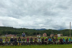 Lembaga Adat Kemantan Hilir Gelar Goro Bersama 