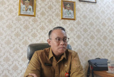 Oktober akan Ada Jobfair  Peluang untuk Pencari Kerja di Jambi