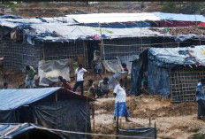 Warga Rohingya Lari ke Bangladesh Akibat Perang Junta-Pemberontak