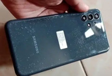 Lakukan Tips Ini, untuk Hilangkan Jamur di Belakang HP
