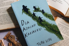 Gila! Novel Dia Adalah Kakakku Karya Tere Liye, Sukses Menguras Air Mata Para Pembaca
