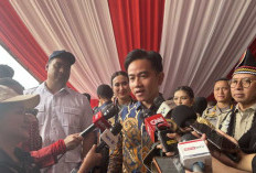 Gibran Sebut Pertemuan dengan Dasco Hal Biasa, Antara Eksekutif dan Legislatif