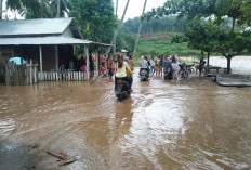 Dusun Tanjung Belit Dilanda Banjir