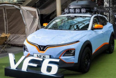 VinFast VF6 Resmi Meluncur di Indonesia, Tawarkan Desain Modern dan Fitur Canggih