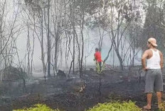 Satu Hektare Lebih Lahan Kosong Terbakar Dibelakang Rumah Dinas Bupati Tebo