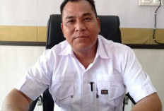 Tersedia 217 Lowongan Kerja, Disnakertrans Bungo Gelar Job Fair 2025