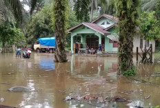 Ratusan Rumah Terendam Banjir 