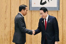 Indonesia Dapat Dukungan Jepang untuk 24 Proyek Transisi Energi                    