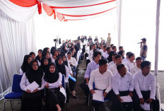 Puluhan Formasi PPPK Tebo Tak Terisi, 15 Formasi Kesehatan 8 Formasi Pendidik