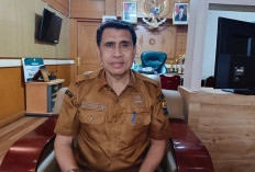 Koperasi Produsen Alami Lonjakan Pesat