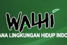 Walhi: Stockpile Merugikan Segala Aspek