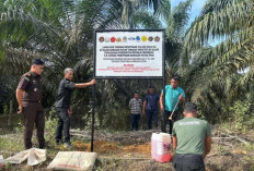 Satgas PKH Tertibkan 12.285 Hektare Lahan Di Kawasan Hutan Kabupaten Tebo, Sasar Perusahaan Besar